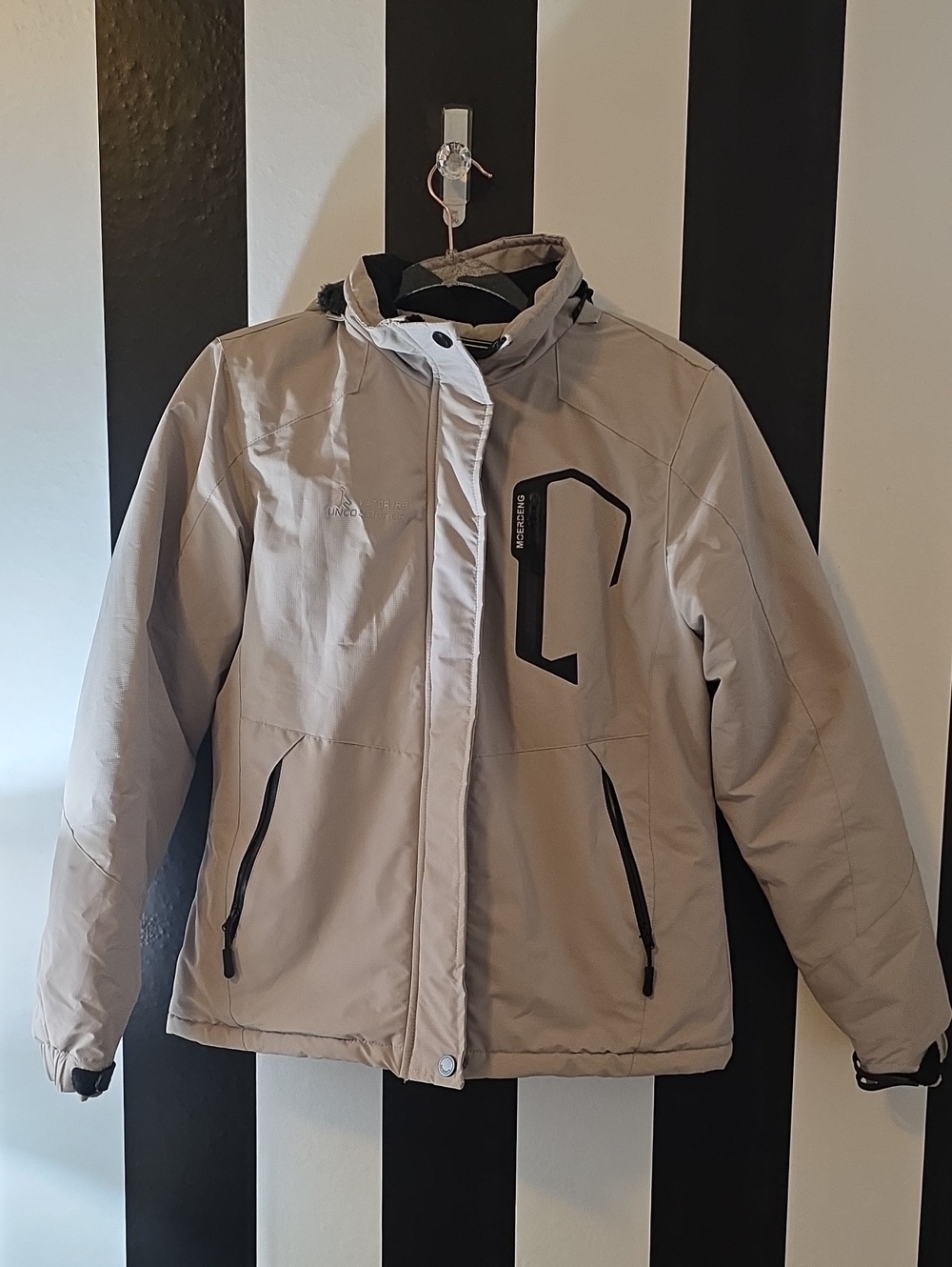 Men's Light Gray Ski Jacket with Hood